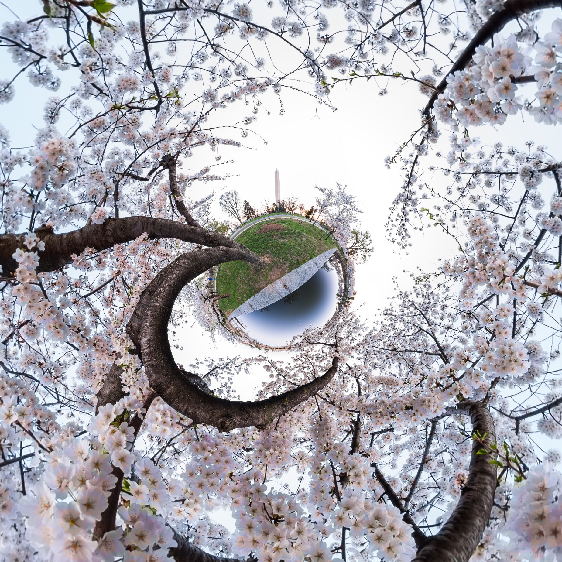 Photo By Chris Ellenbogen