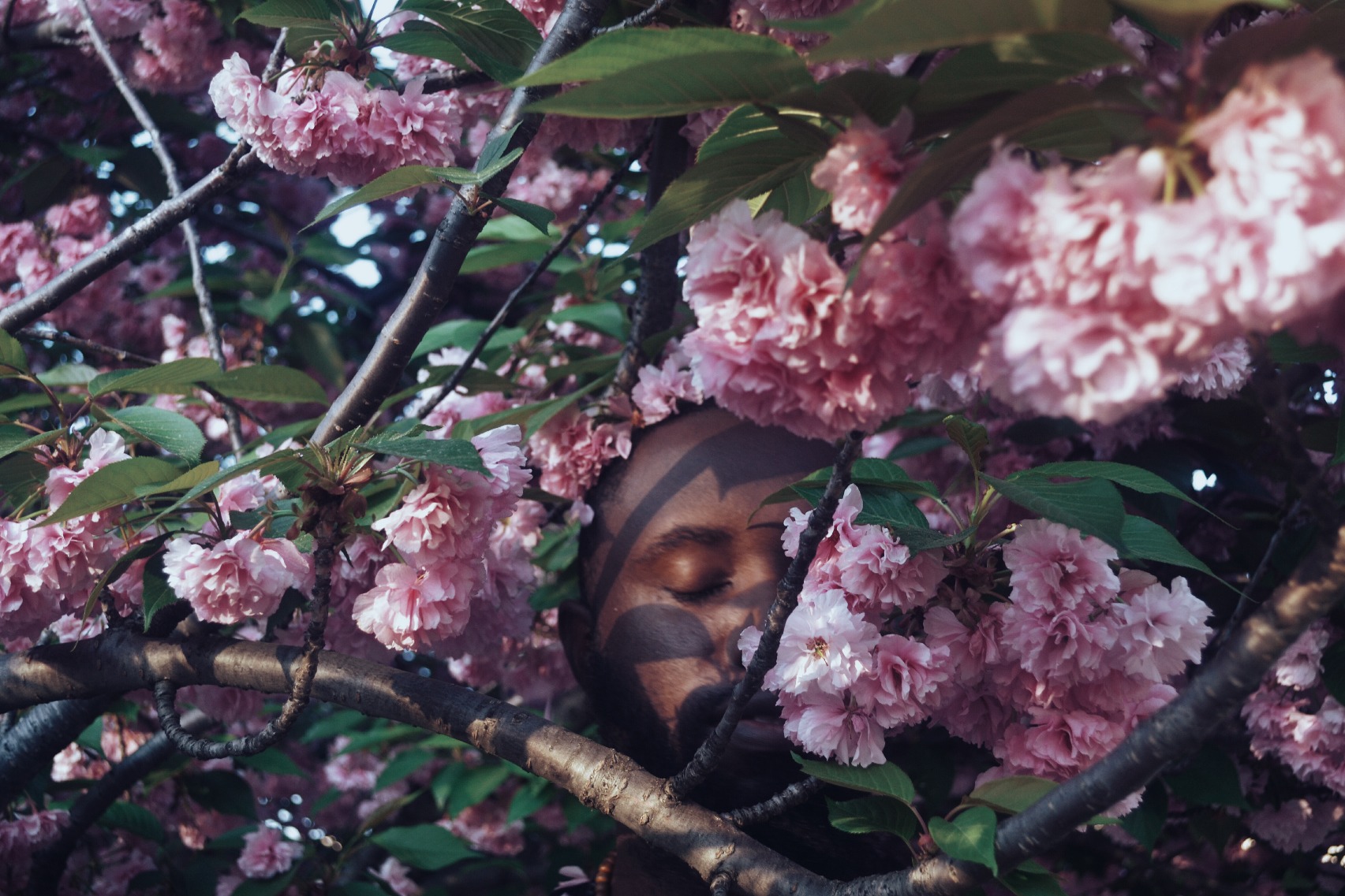 Photo By Naji Copeland