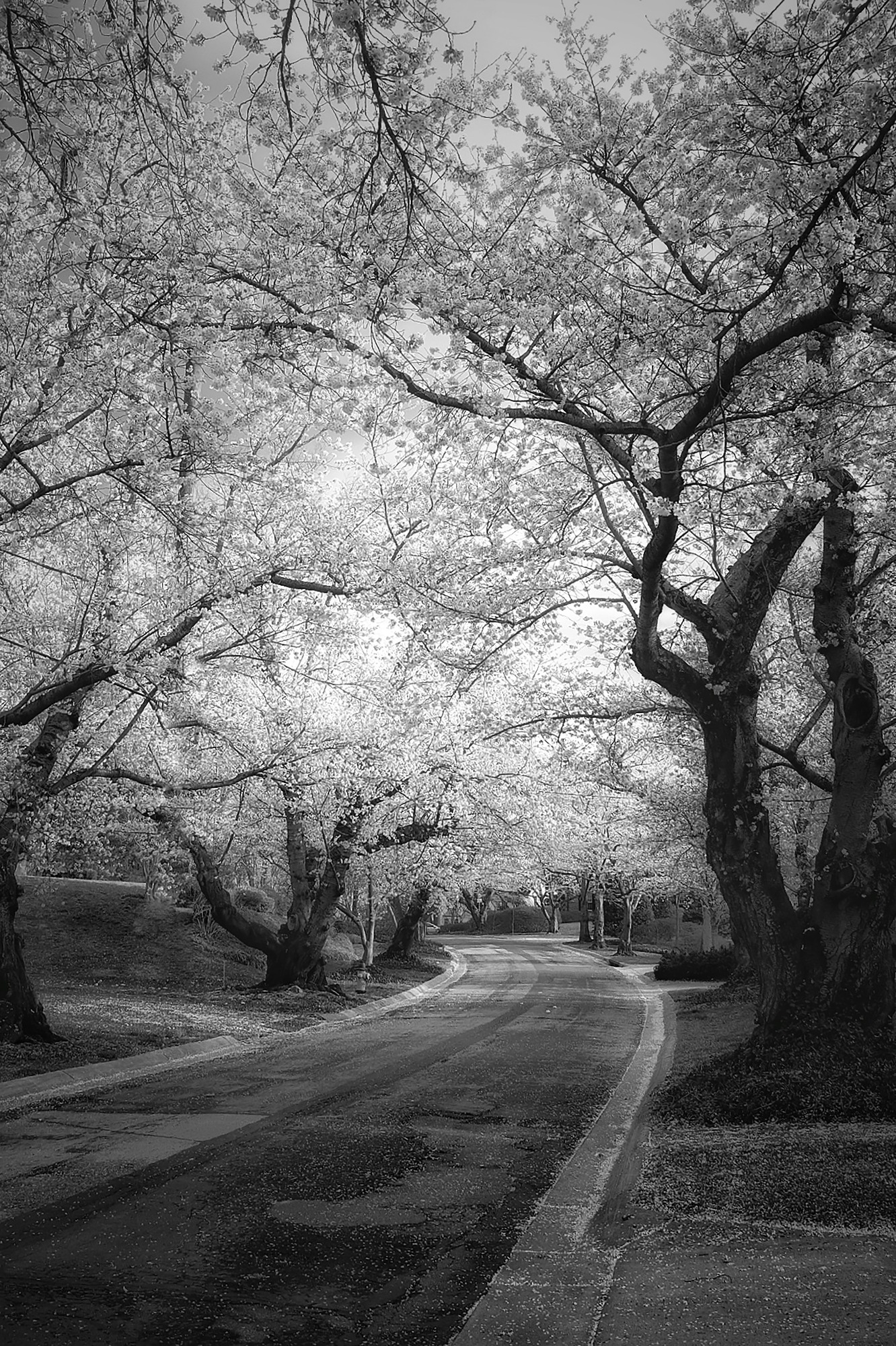 Photo By Peggy Archambault