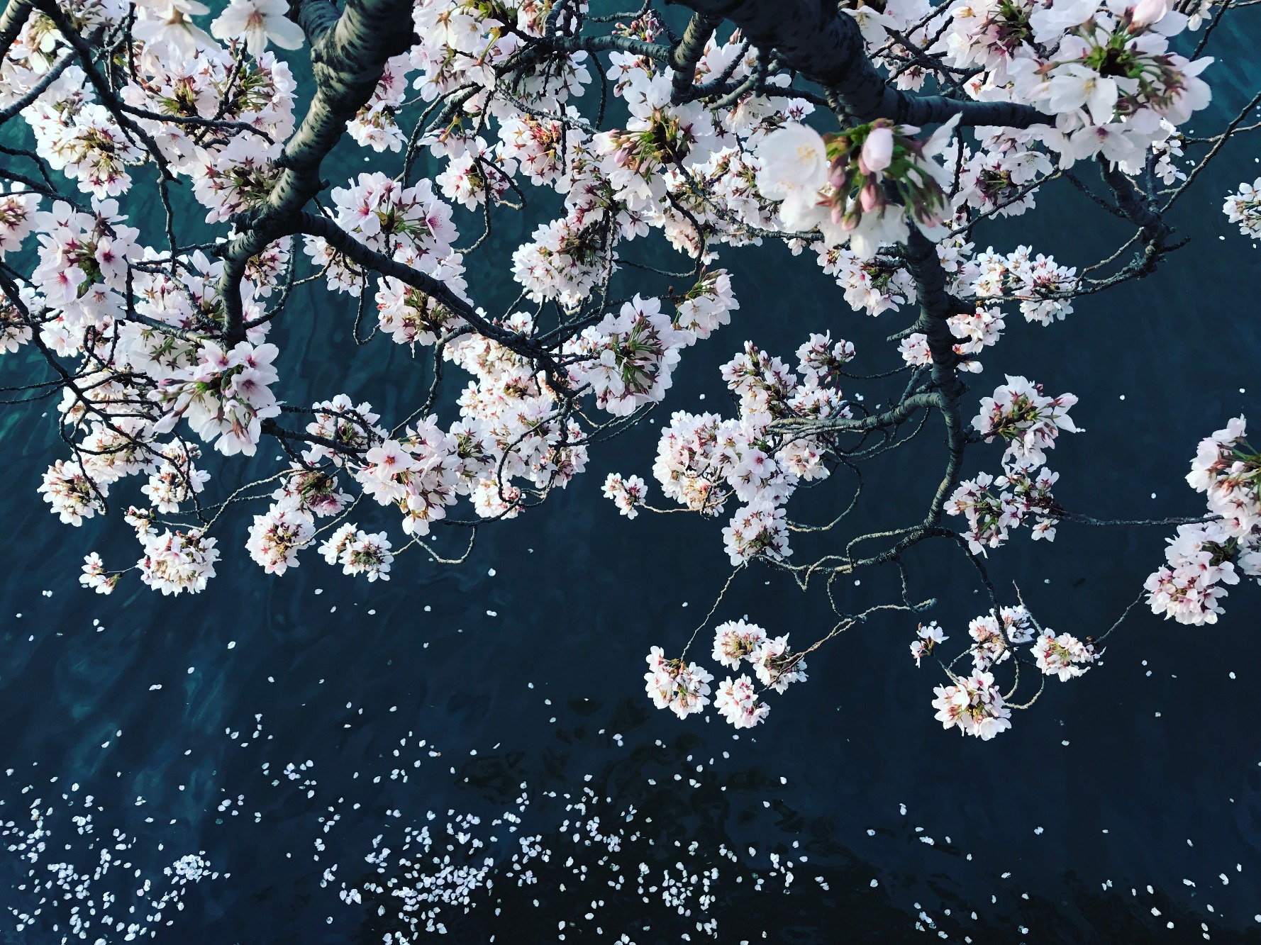 Photo By Perla Antoniak