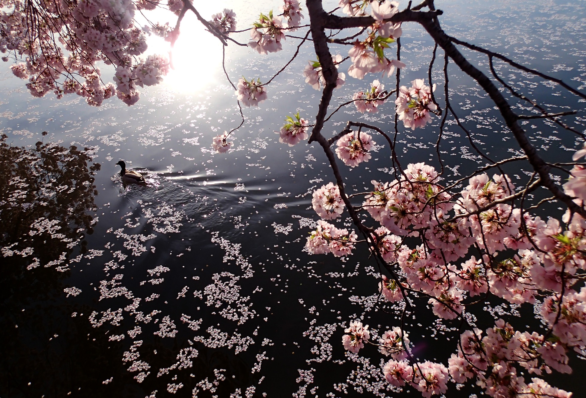 Photo By Perla Antoniak