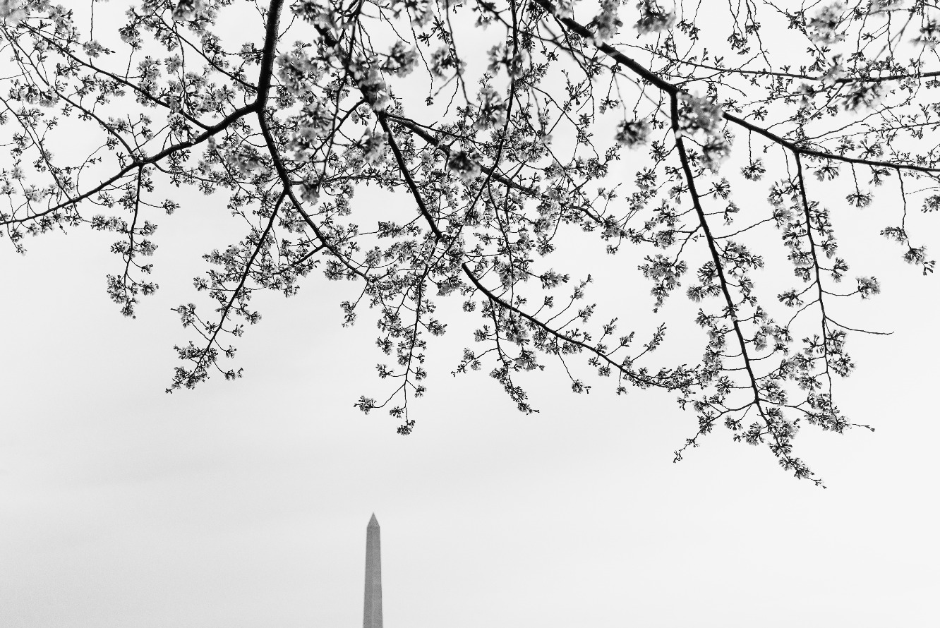 Photo By Stacy Smith Evans
