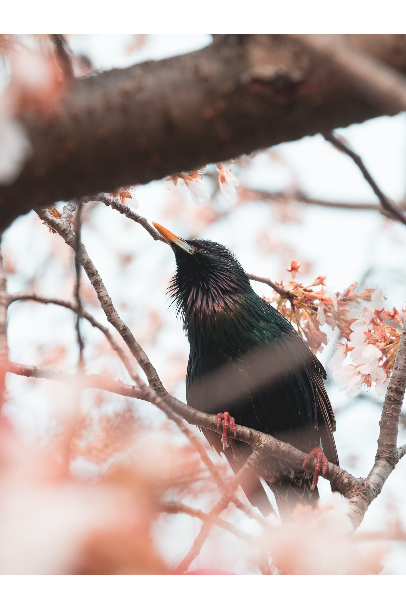 Photo By Zack Lewkowicz