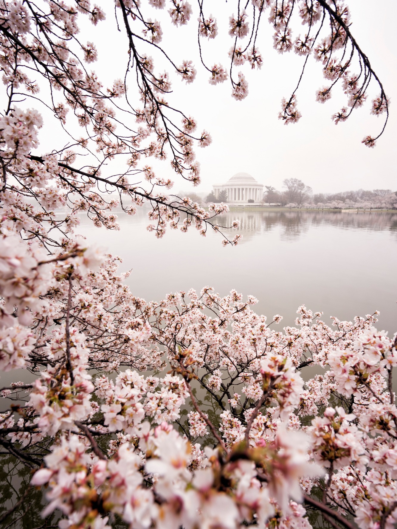 Photo By Angela Pan