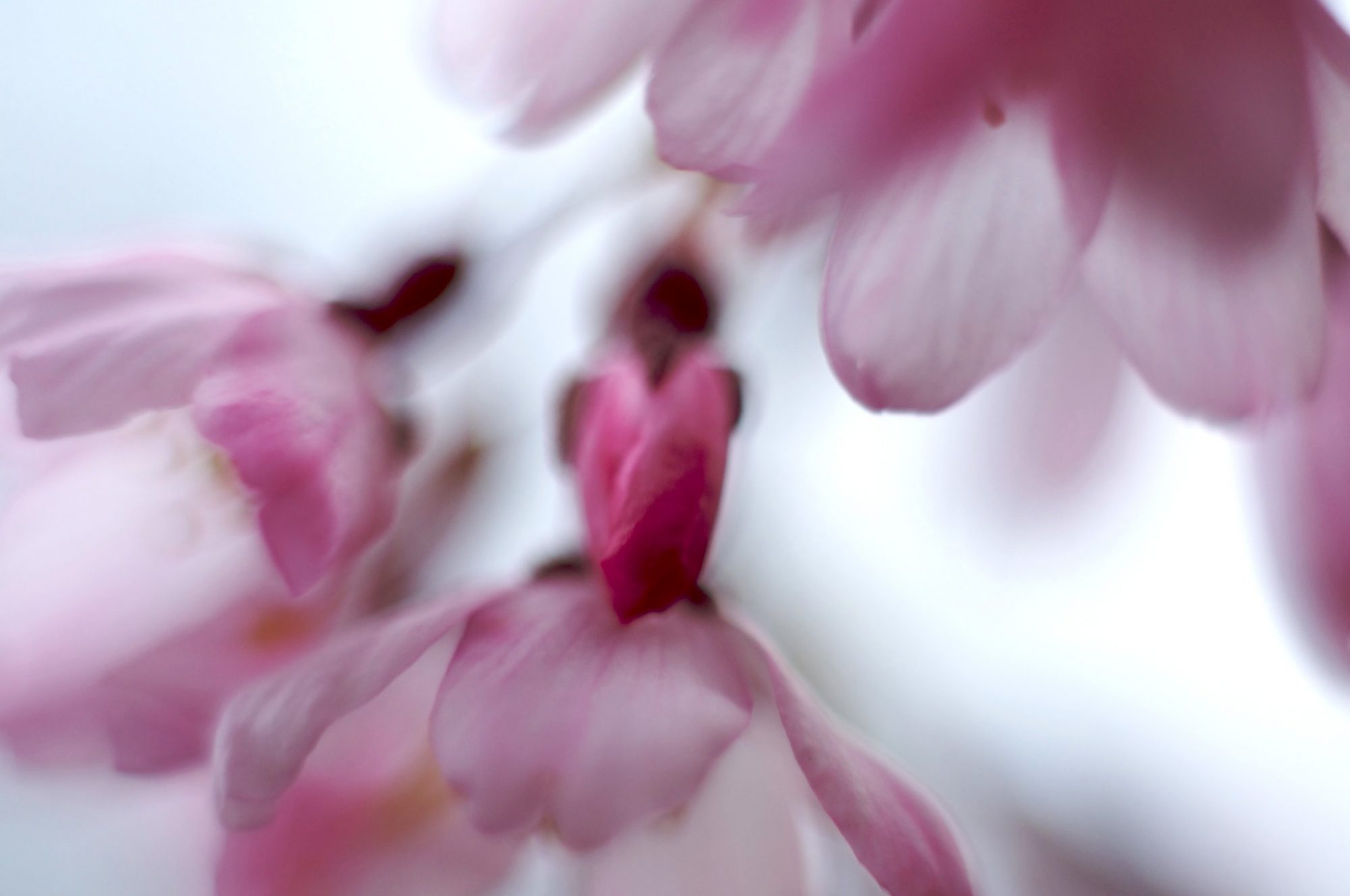 Photo By John Gordy