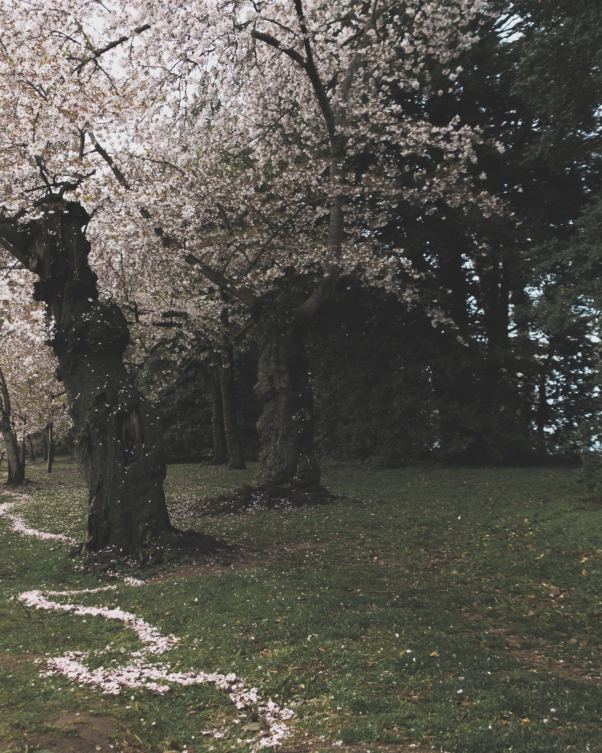 Photo By Patrick Koetzle