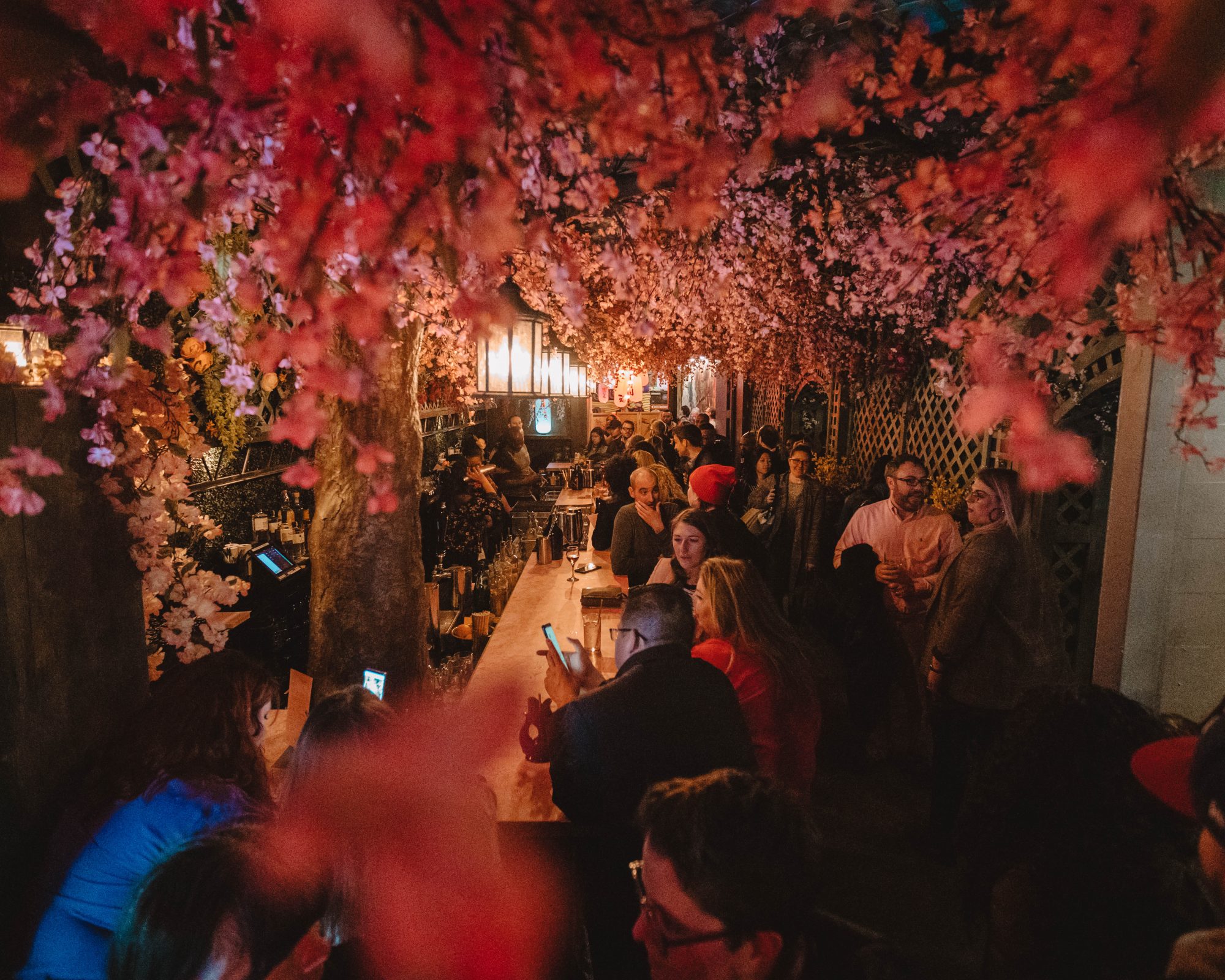 Photos of the Cherry Blossom Pop Up Bar in DC