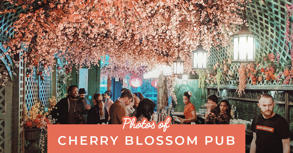 CHERRY BLOSSOM – Washington Spirit Shop