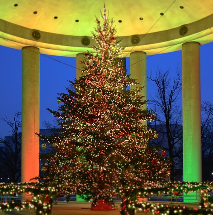 visit washington dc christmas