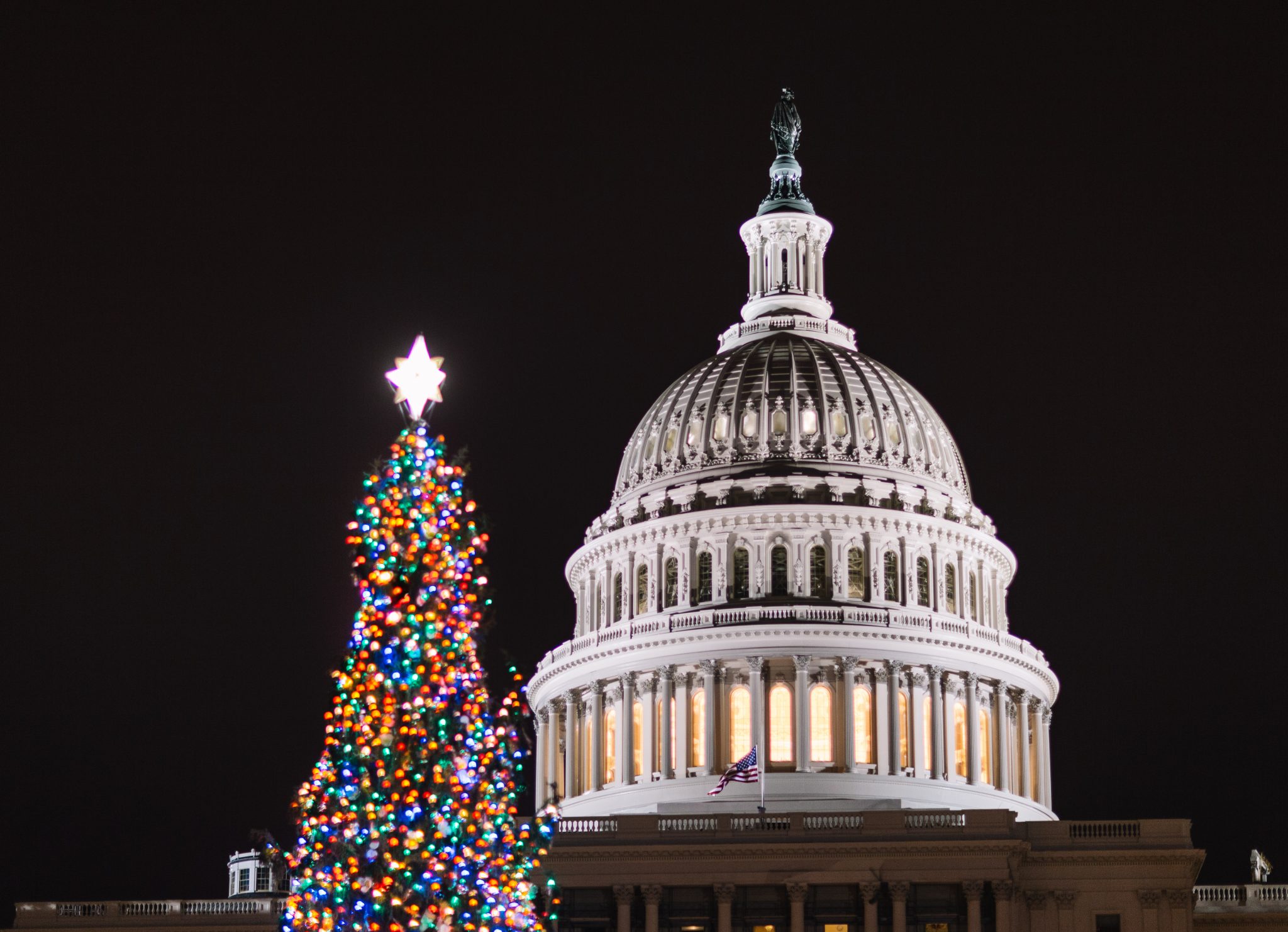 visit washington dc christmas