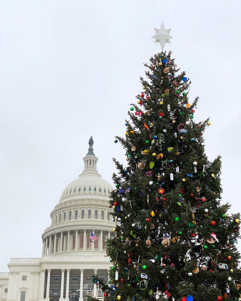 visit washington dc christmas