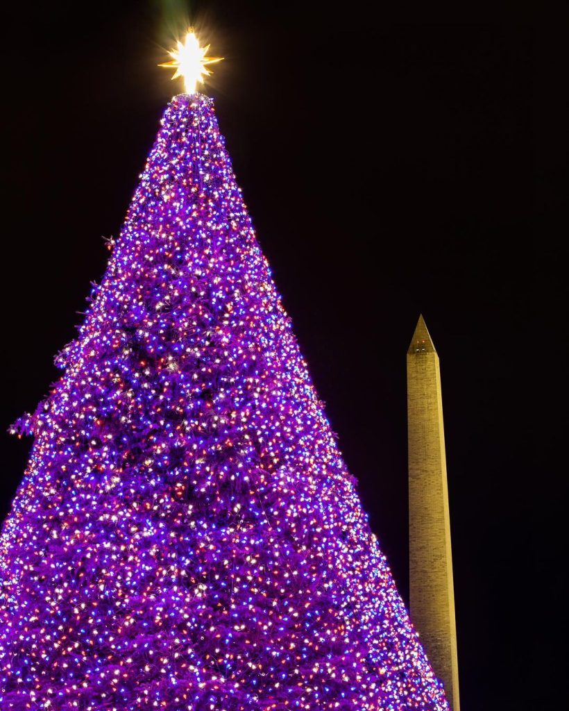 visit washington dc christmas